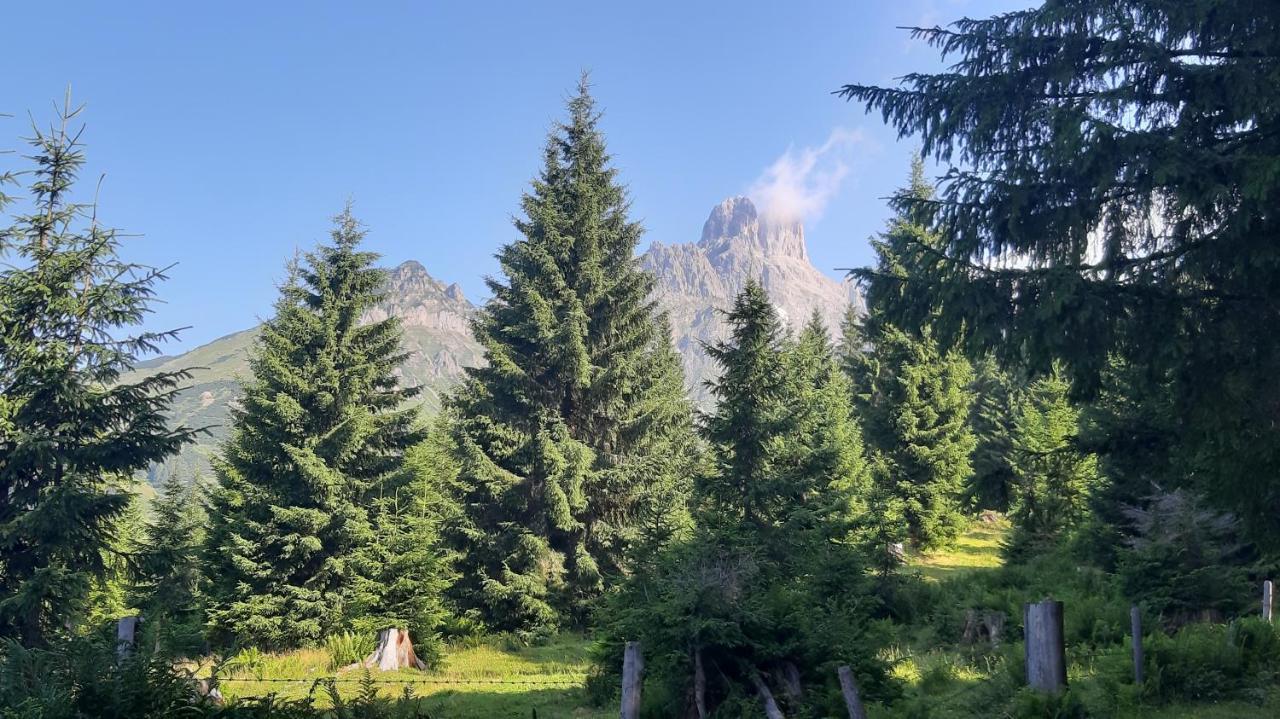 Haus Lowe Filzmoos Esterno foto